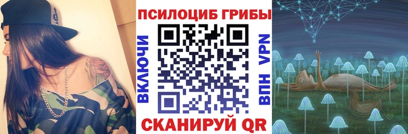 Псилоцибиновые грибы Cubensis  Талдом 